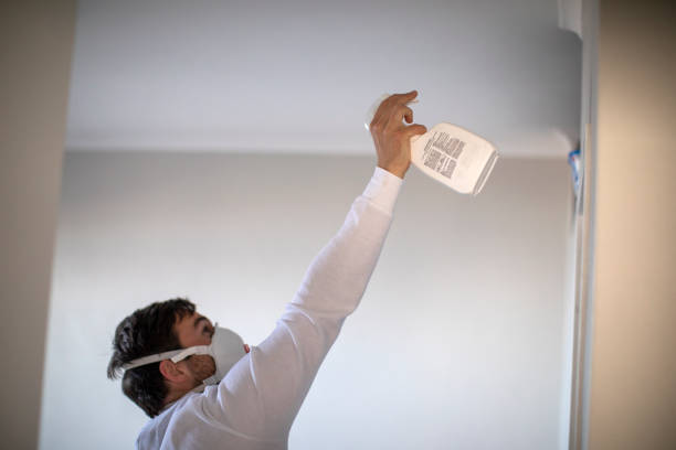 Best Commercial Mold Removal  in Brocton, NY