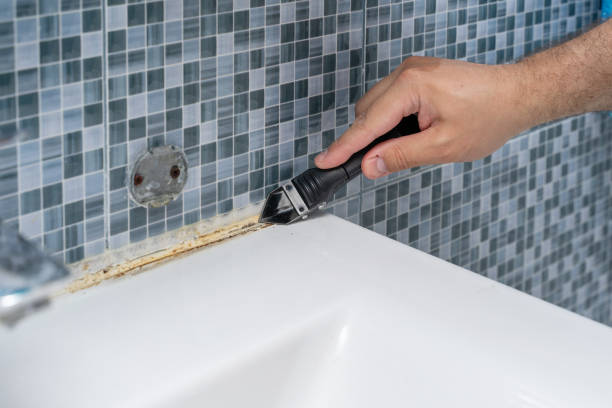 Mold Removal and Inspection in Brocton, NY