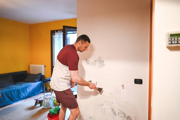 Trusted Brocton, NY Mold Removal Experts